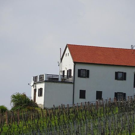 Kellerstockl Eisenberg/Pinka Weiner Villa Eisenberg an der Pinka Buitenkant foto